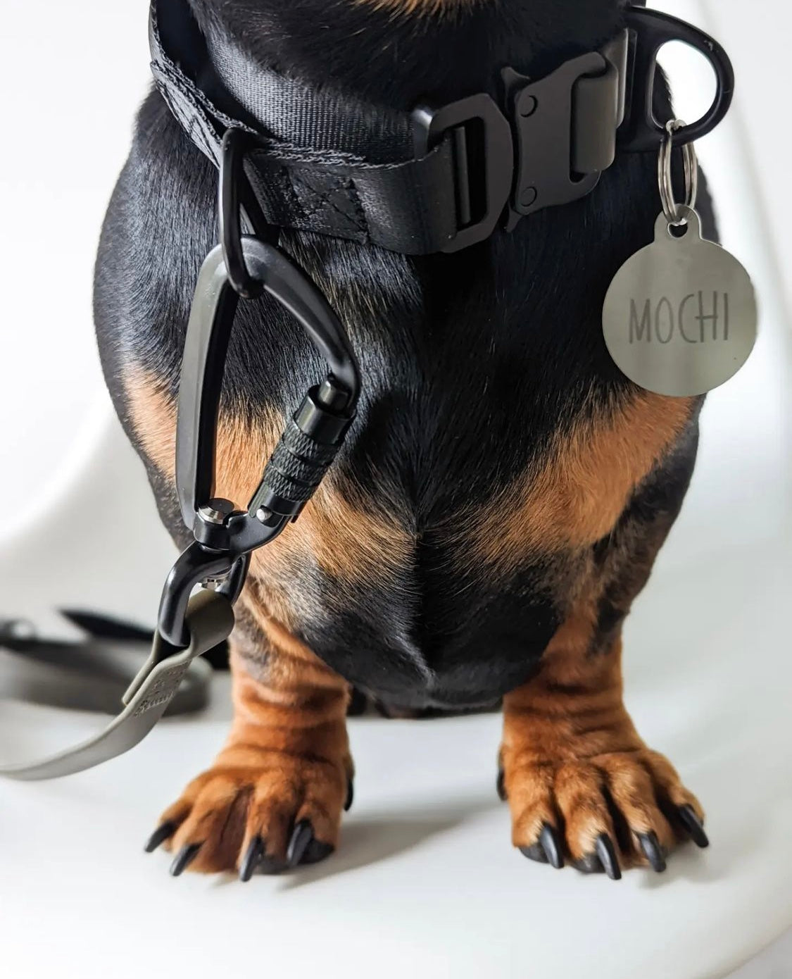 APEX Ultralight+Skinny Leash MOON