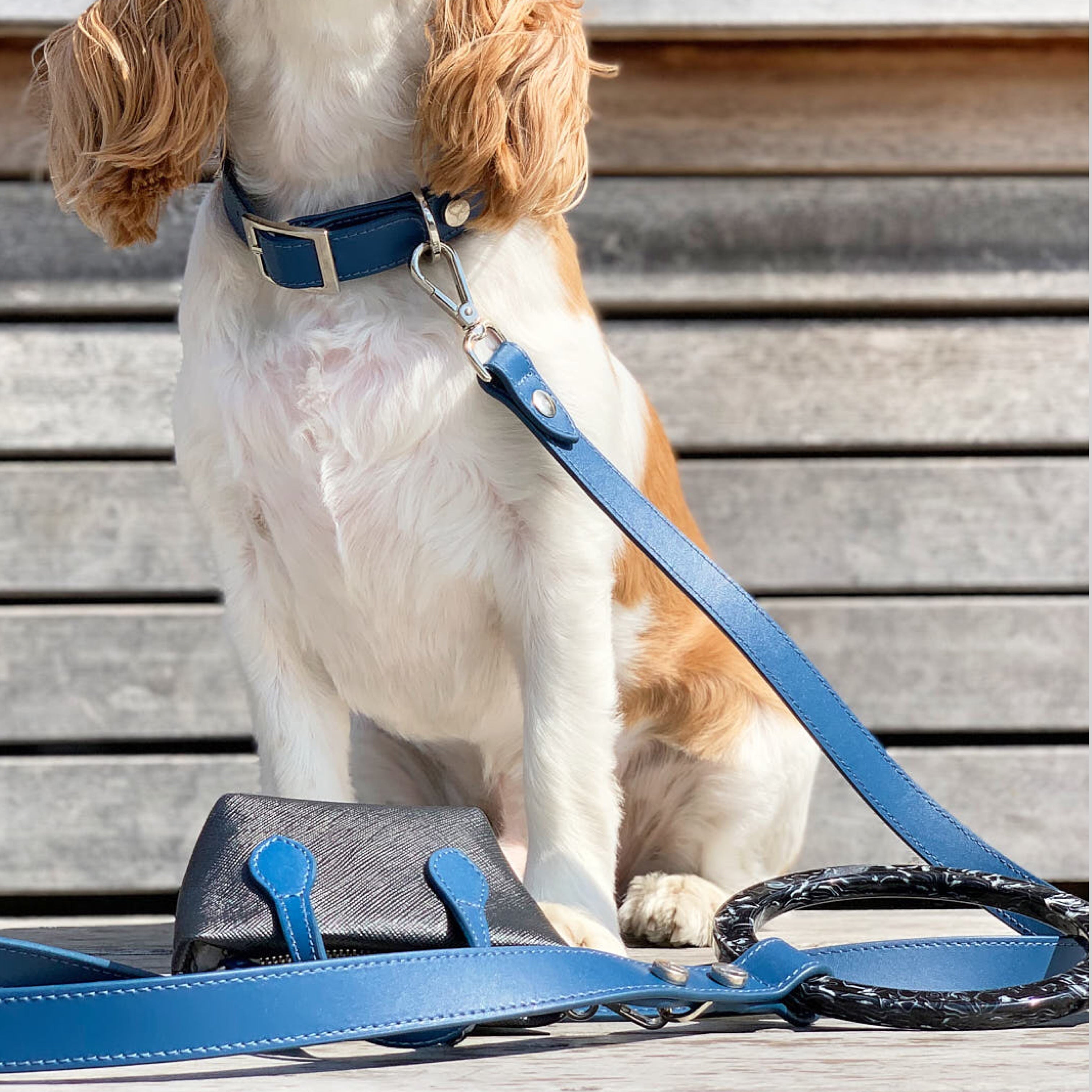 SHAYA スーザンリーシュ コバルト