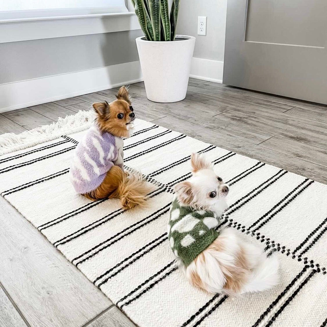 ソフトクラウドセーター Zebra