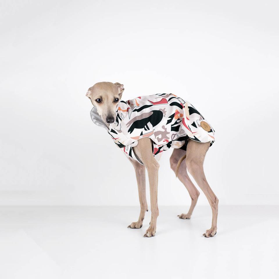 City Breeze dog raincoat™️ ドッグレインコート サバンナ