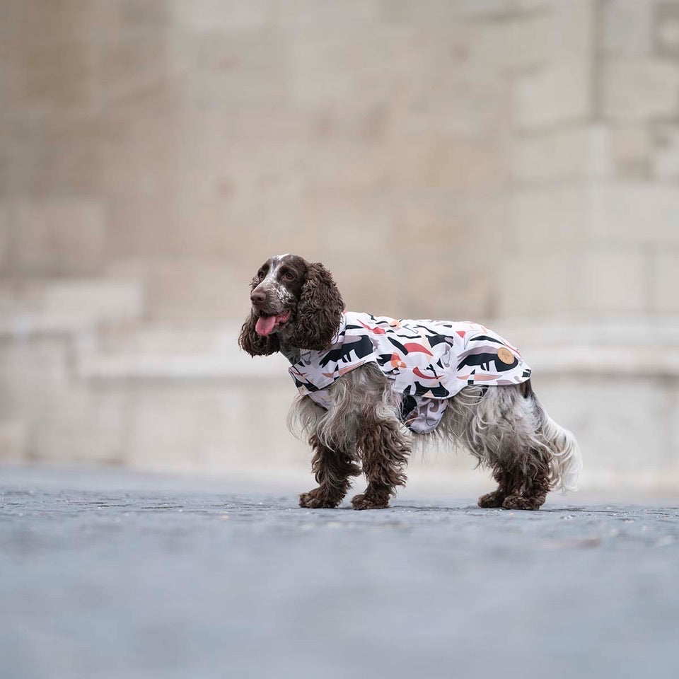City Breeze dog raincoat™️ ドッグレインコート サバンナ
