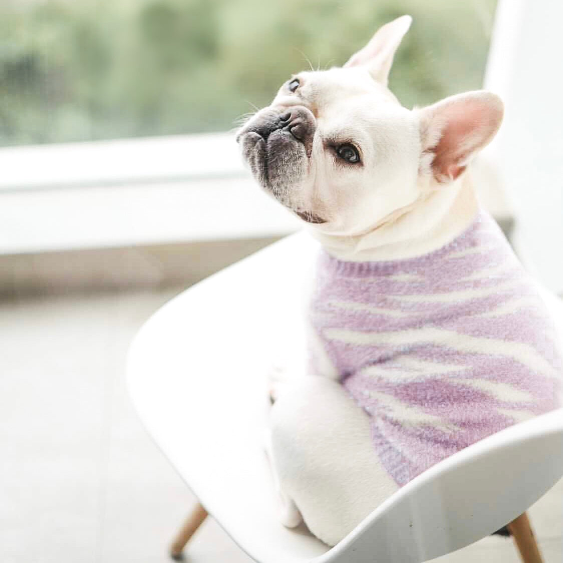 ソフトクラウドセーター Zebra