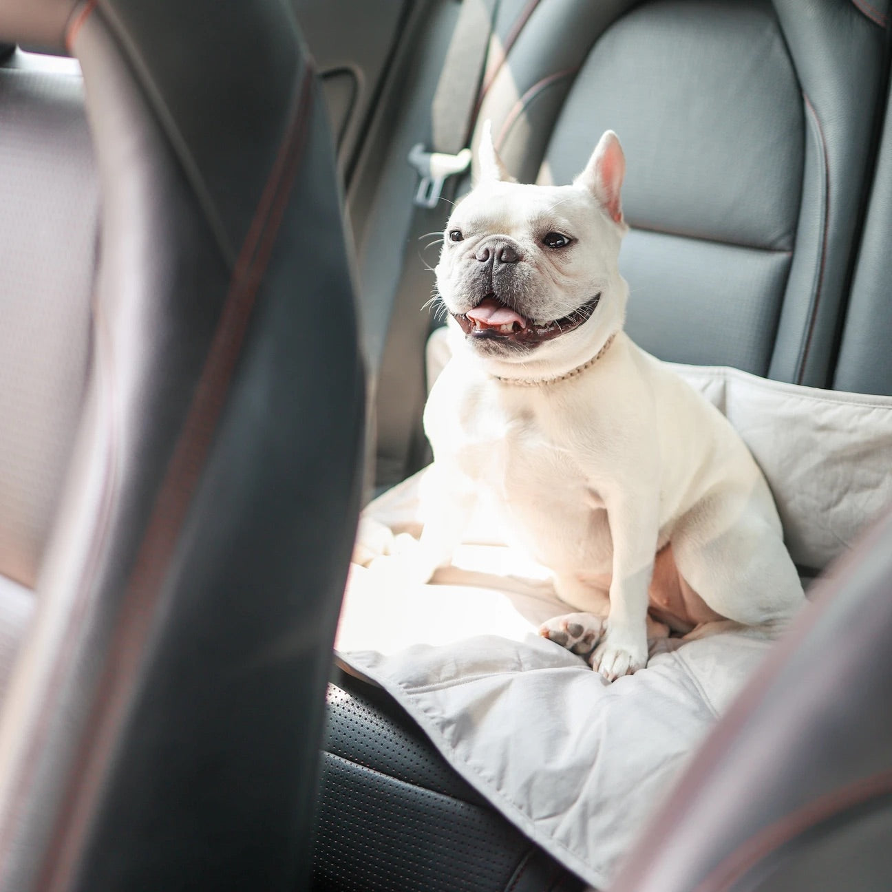 ORII ultralight city travelmat FERN