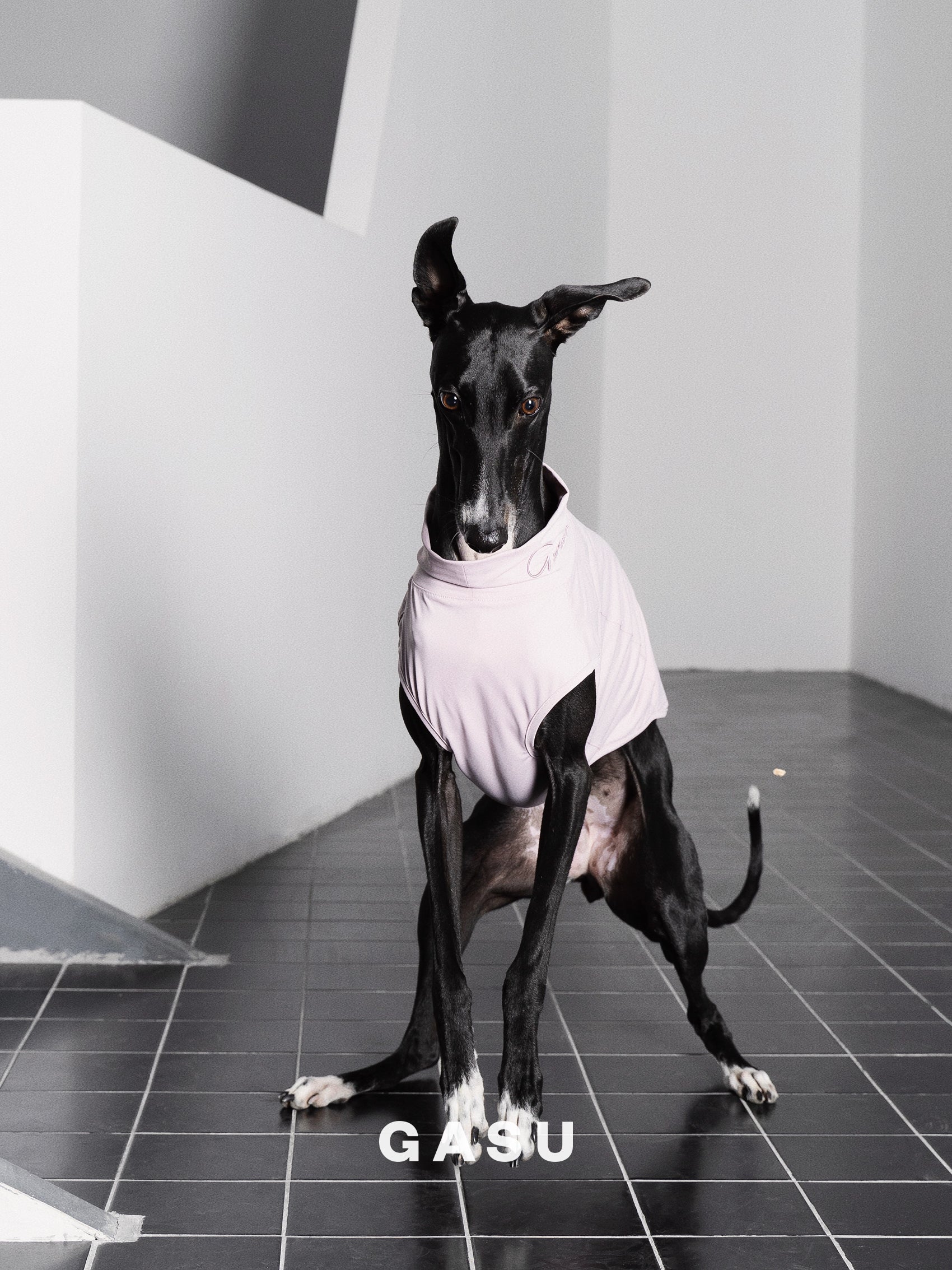 【全犬種対応】Nude UPF50+ Cooling Vest モーブ