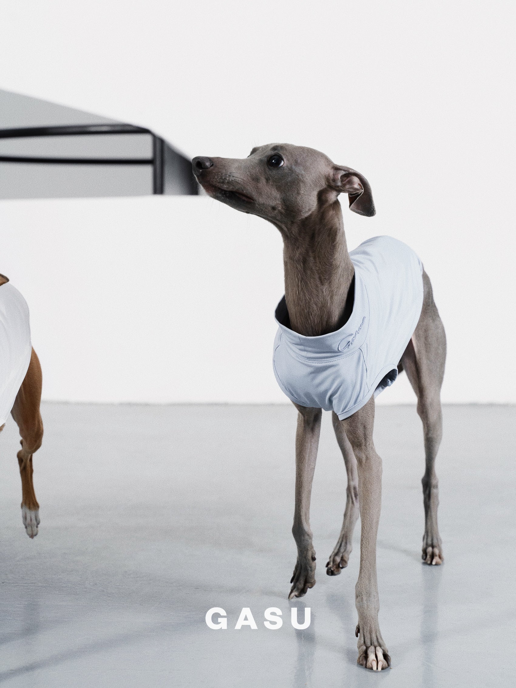 【全犬種対応】Nude UPF50+ Cooling Vest アイスブルー