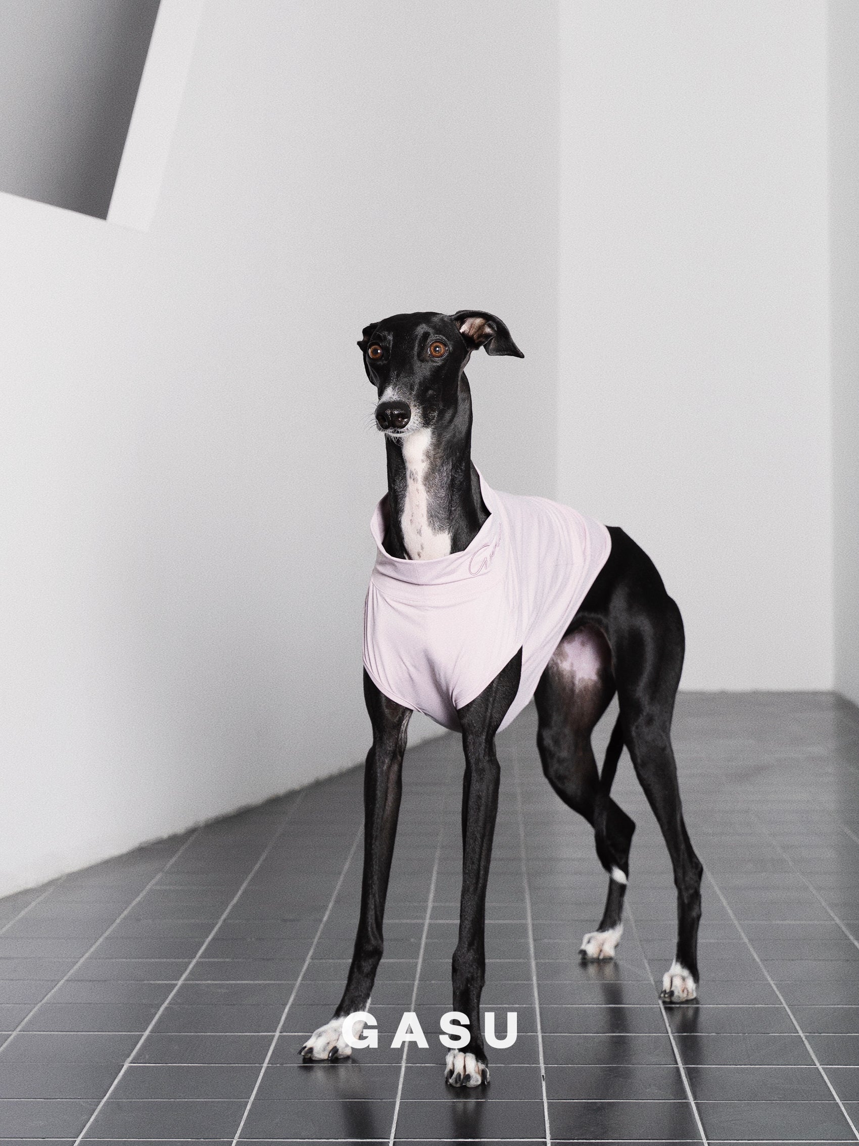 【全犬種対応】Nude UPF50+ Cooling Vest モーブ