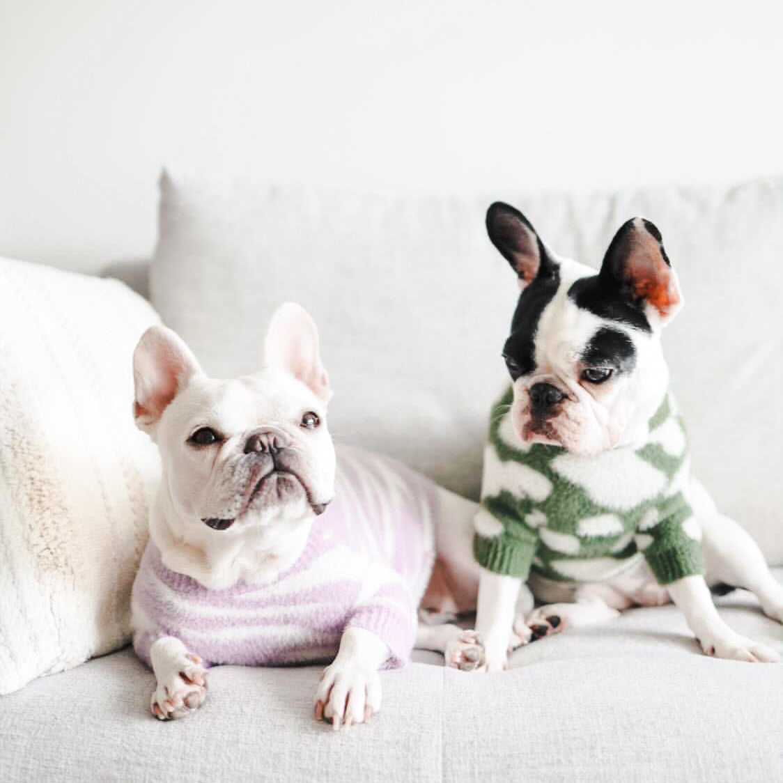 ソフトクラウドセーター Zebra