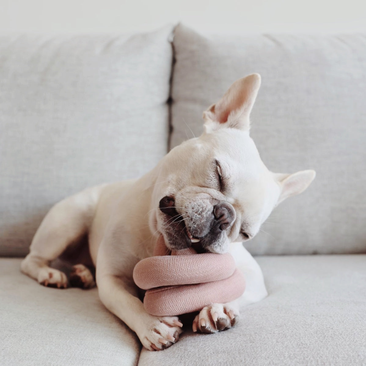 NOU™️ 4SQUEAKEARS CREAM