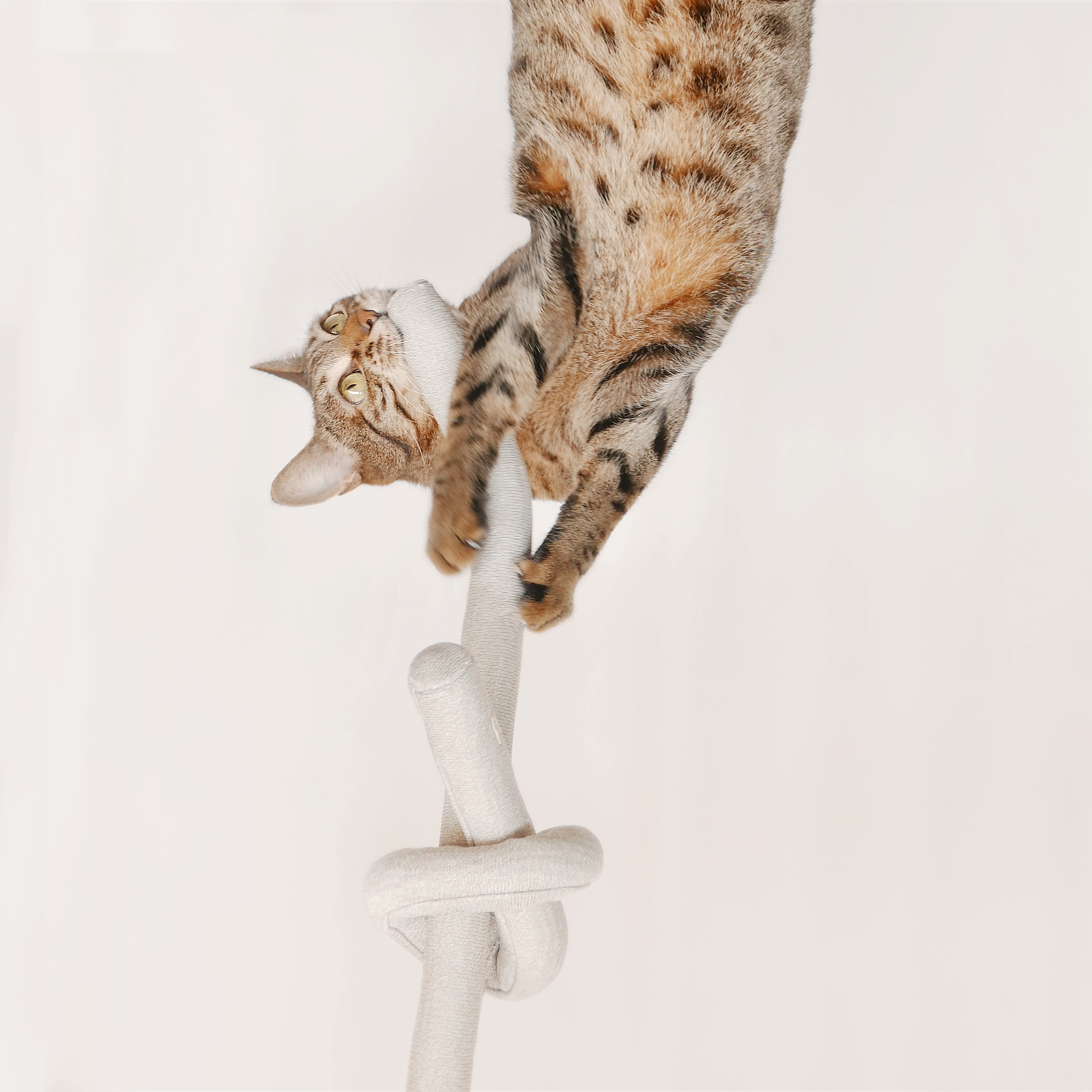 NOUNOU CRINKLE CLUSTERS TAN