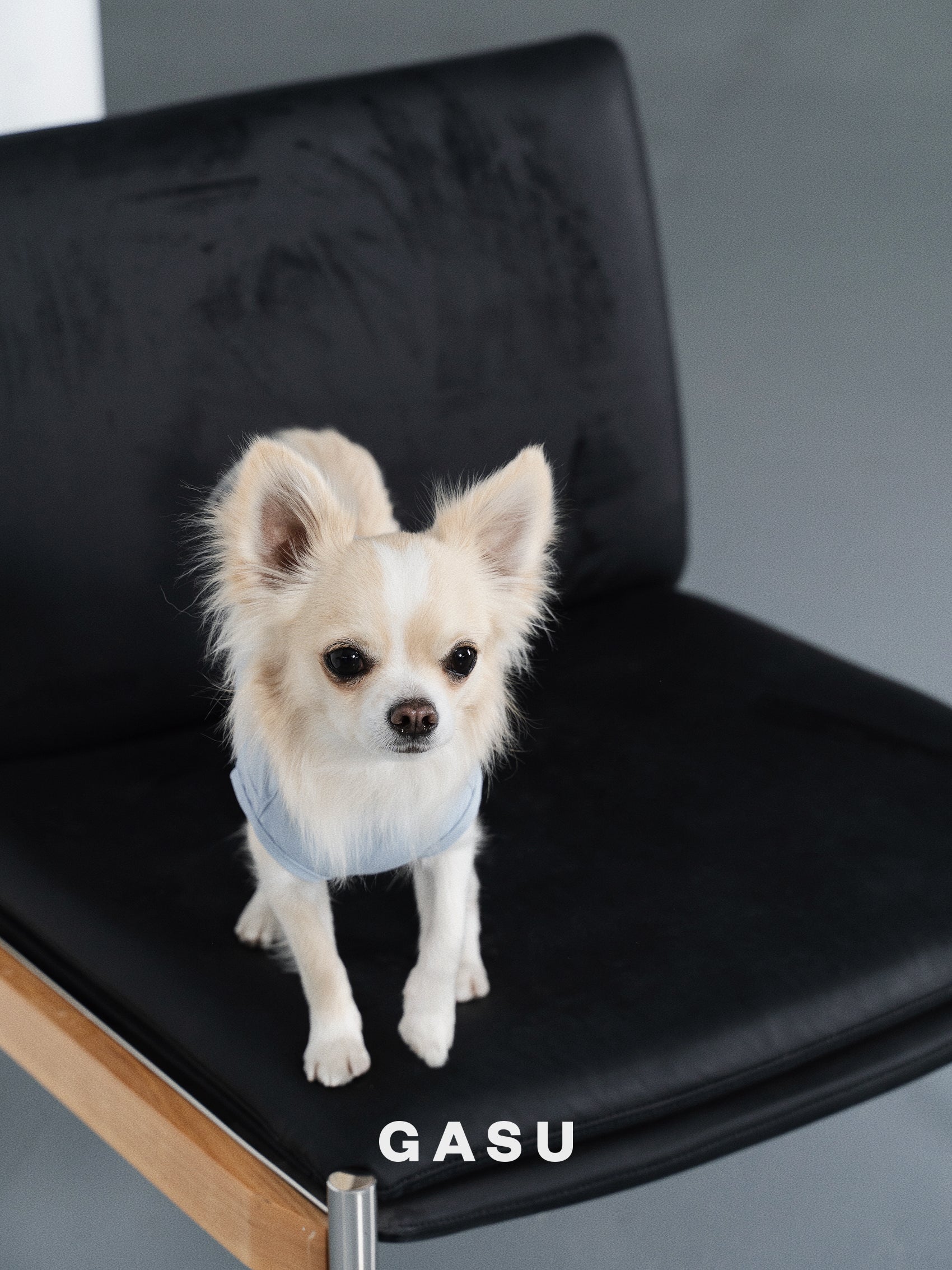 【全犬種対応】Nude UPF50+ Cooling Vest アイスブルー