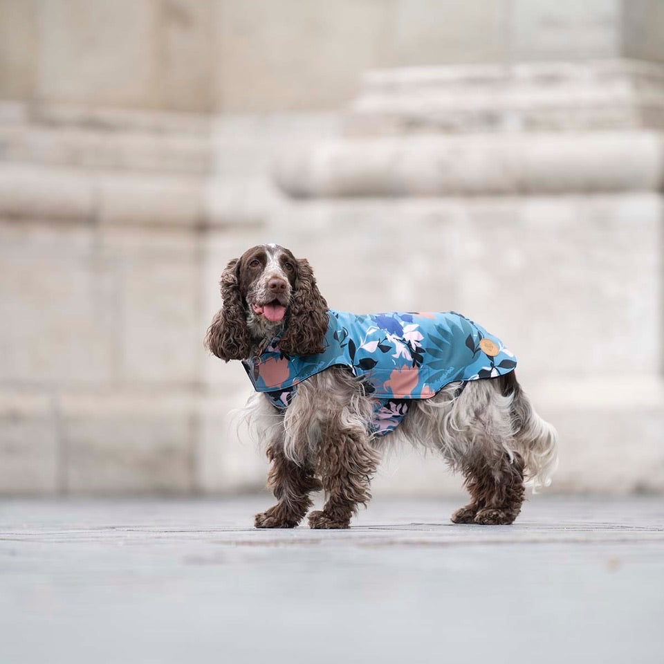 City Breeze dog raincoat™️ ドッグレインコート サマーストーム