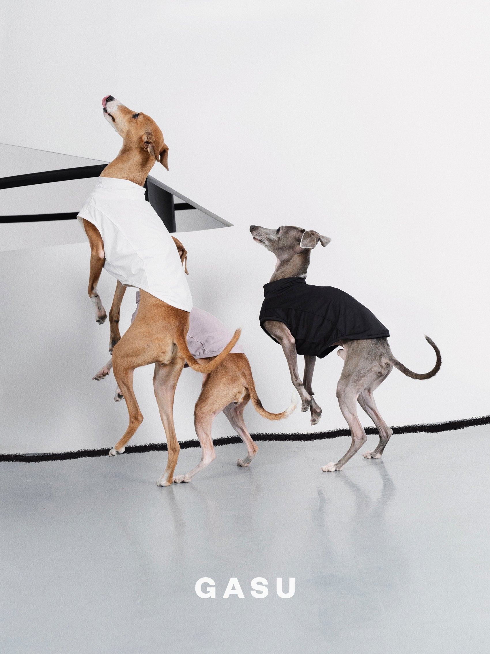 【全犬種対応】Nude UPF50+ Cooling Vest ホワイト