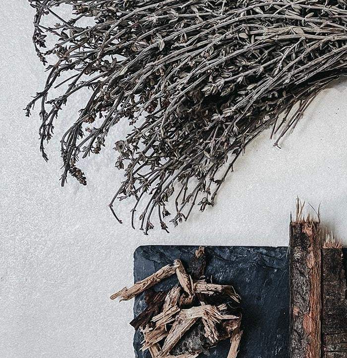 DOG SHAMPOO ローズマリー&シダー