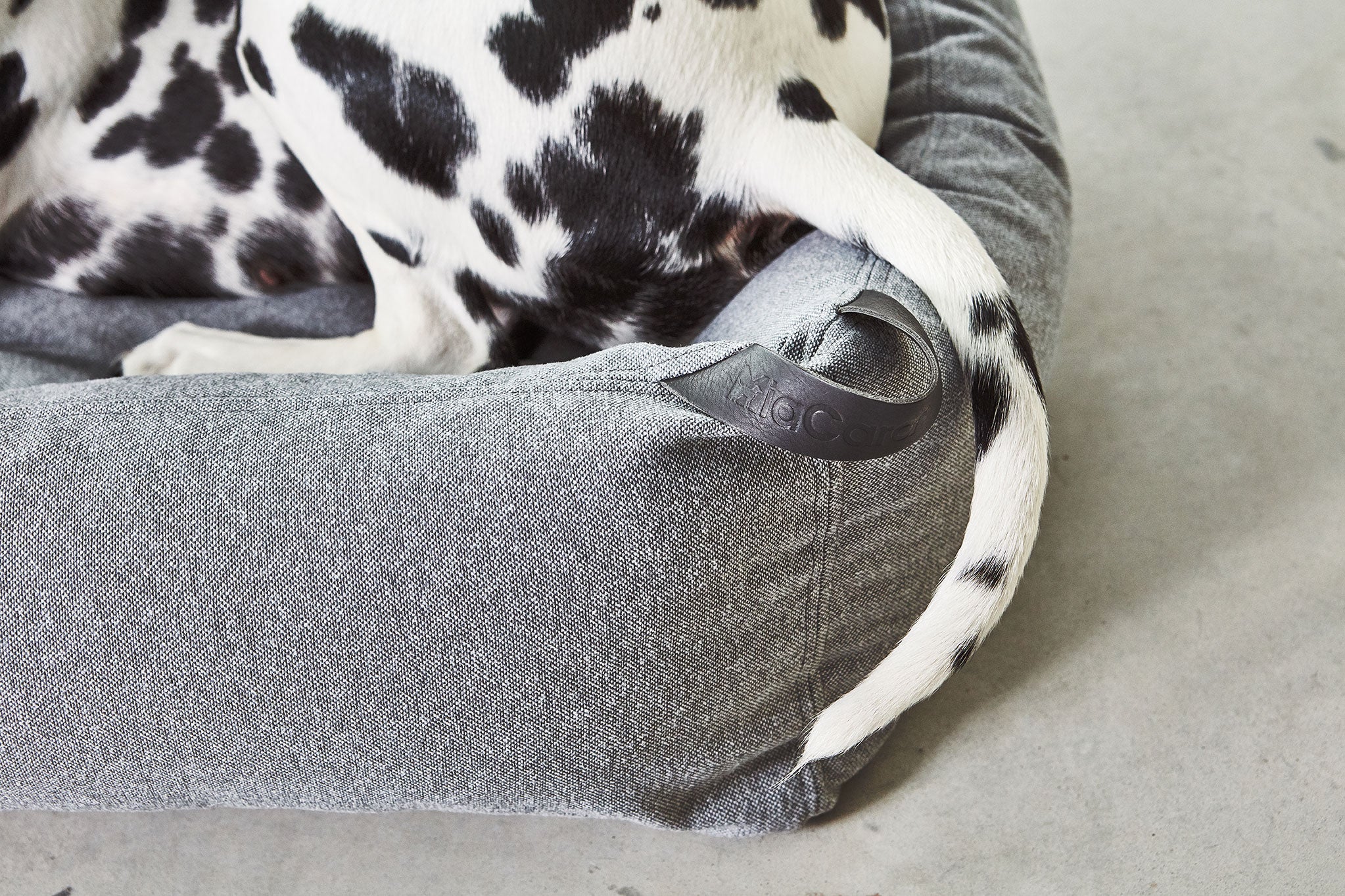 MiaCara ステラボックスドッグベッド スレート SMサイズ