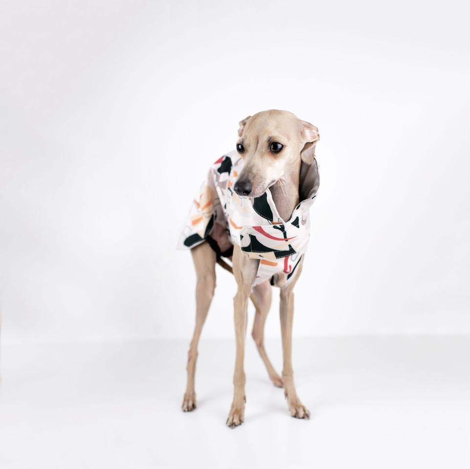 City Breeze dog raincoat™️ ドッグレインコート サバンナ