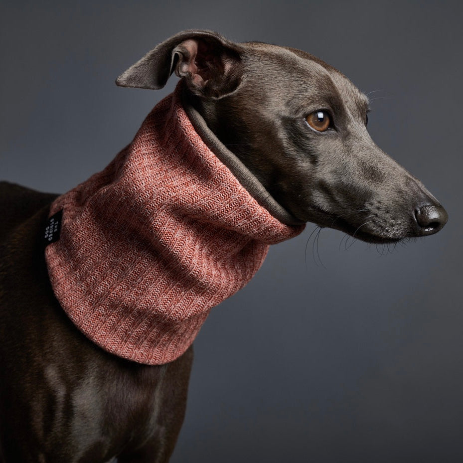 LANCASTER リバーシブル リングスカーフ オレンジ×ダークグリーン Lサイズ