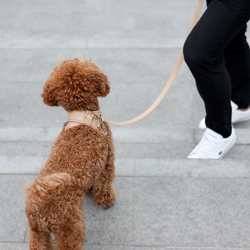 Roam Luxe Harness ベージュ