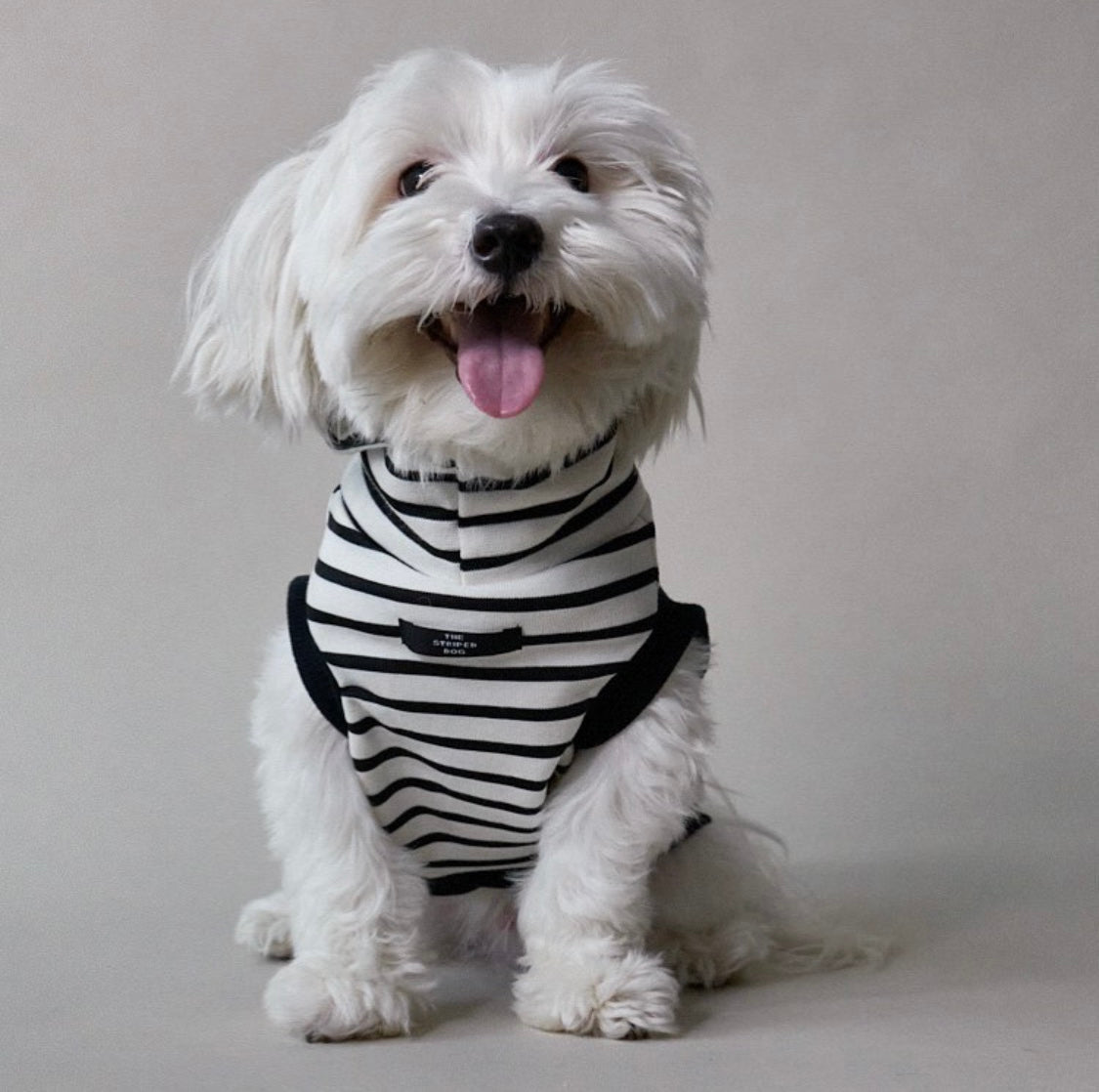 SHADE ブラック&ホワイト ボーダータートルネックベスト XXSサイズ