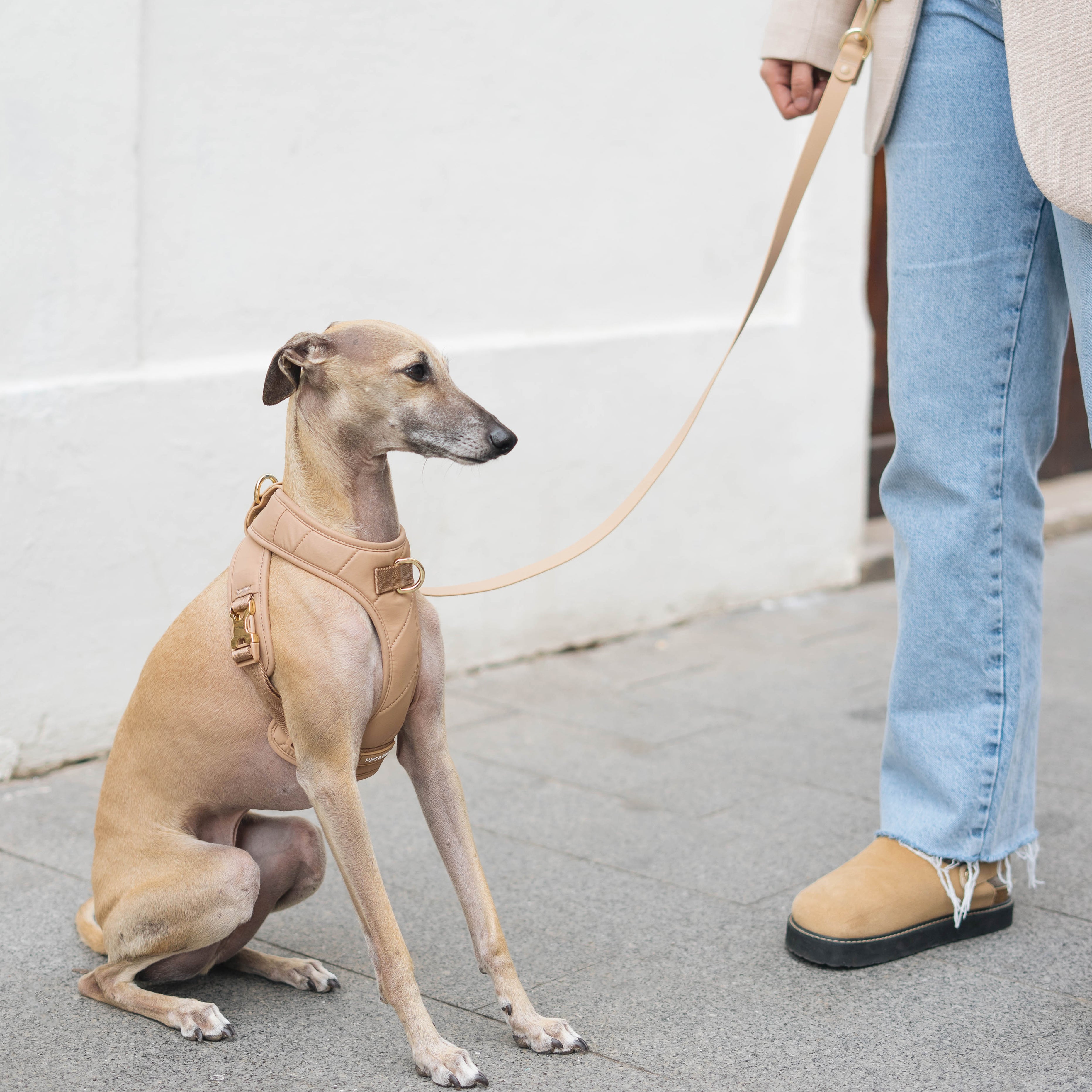Roam Luxe Harness ベージュ