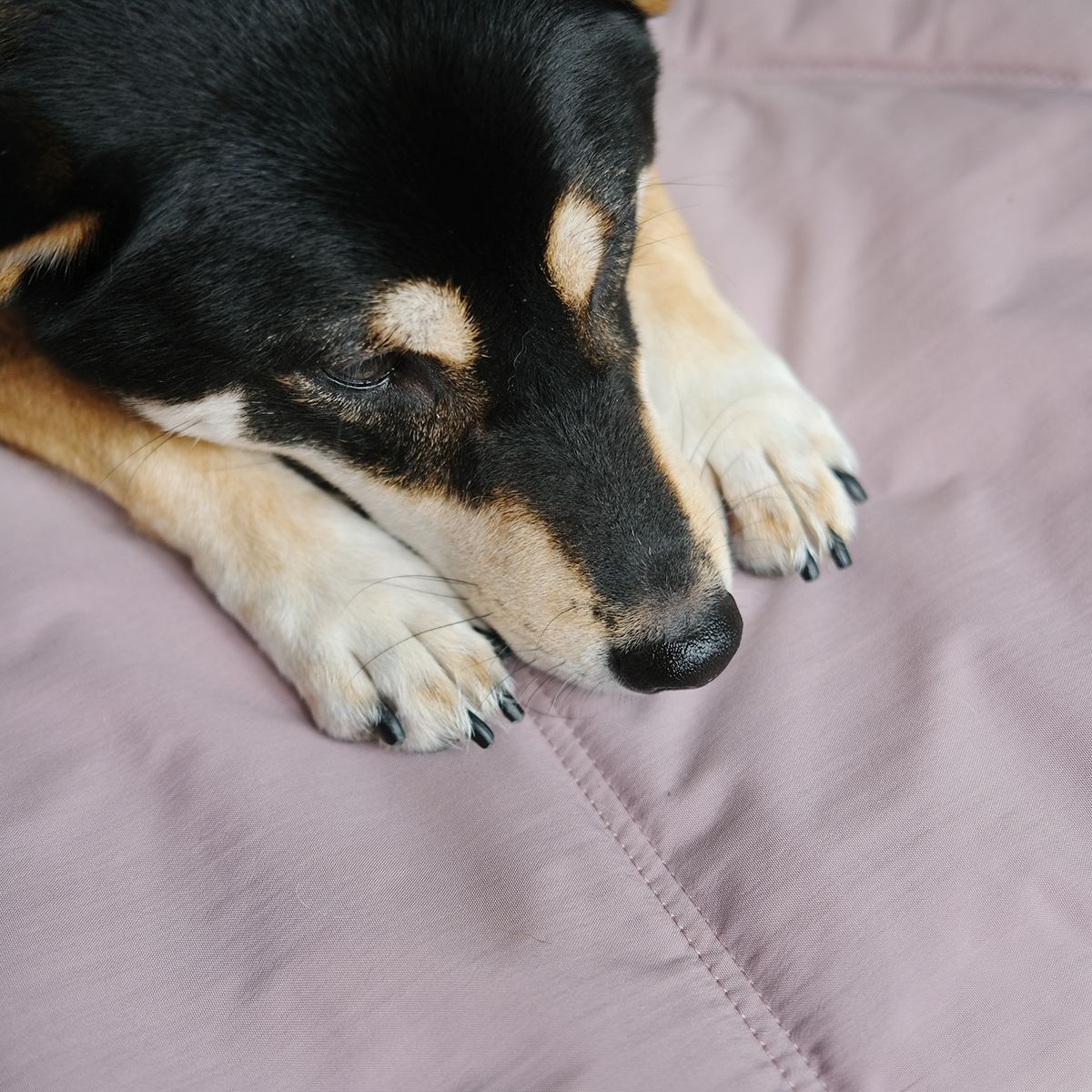 ORII ultra light city travel mat PLUM