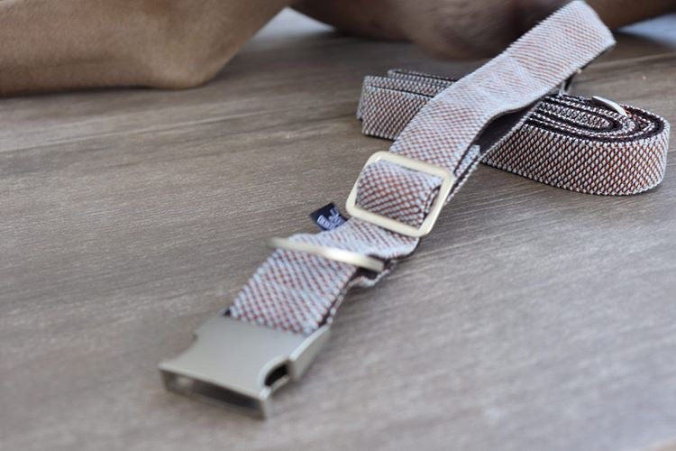 SCOOT CASTANO DOG COLLAR