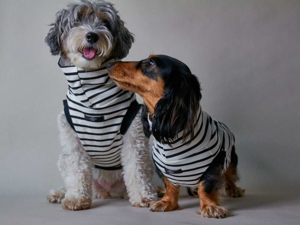 SHADE ブラック&ホワイト ボーダータートルネックベスト XXSサイズ