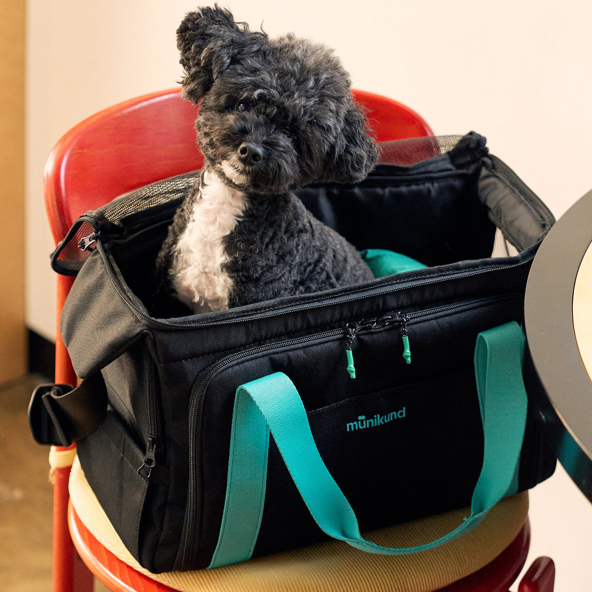 【新入荷】肩が楽、愛犬も楽。MUNIKUNDの新作ドッグキャリーバッグ「BY-WRAP BAG」