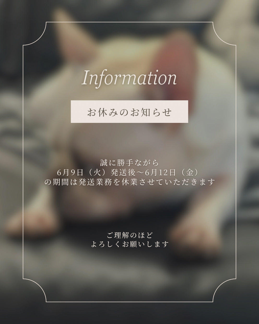 発送業務休業のお知らせ