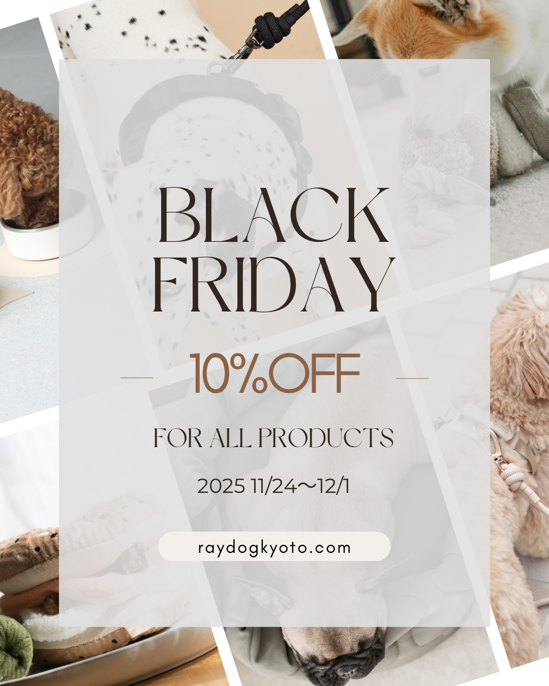 2025 BLACK FRIDAY SALE