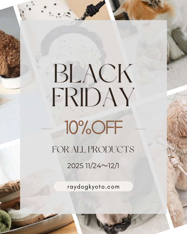 2025 BLACK FRIDAY SALE