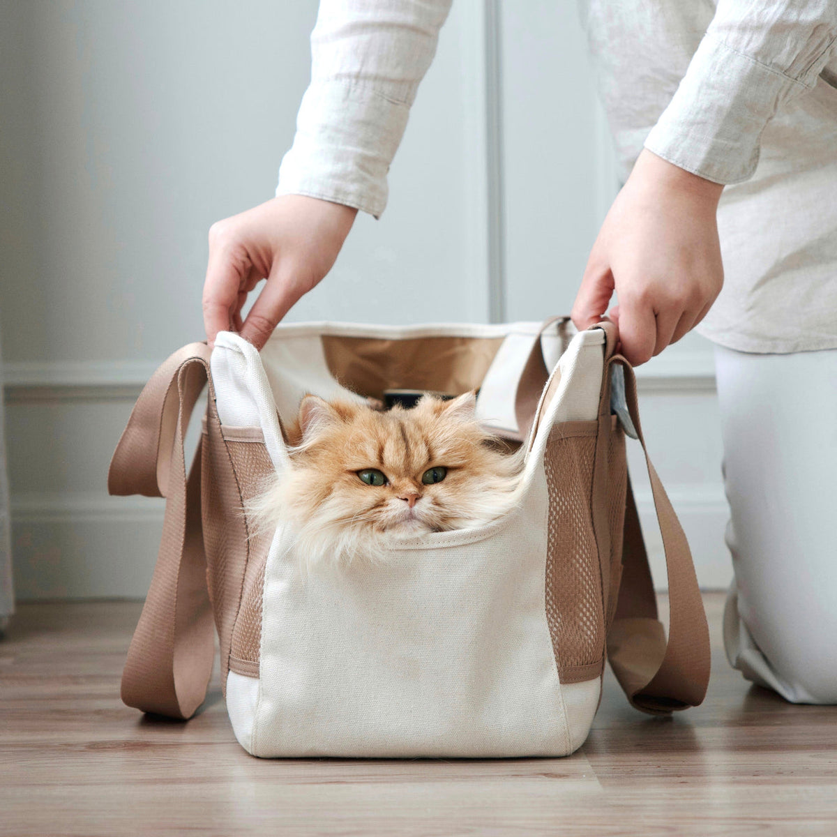 SUBWAY Petite Pet Carrycot CAMEL – Ray Dog Kyoto
