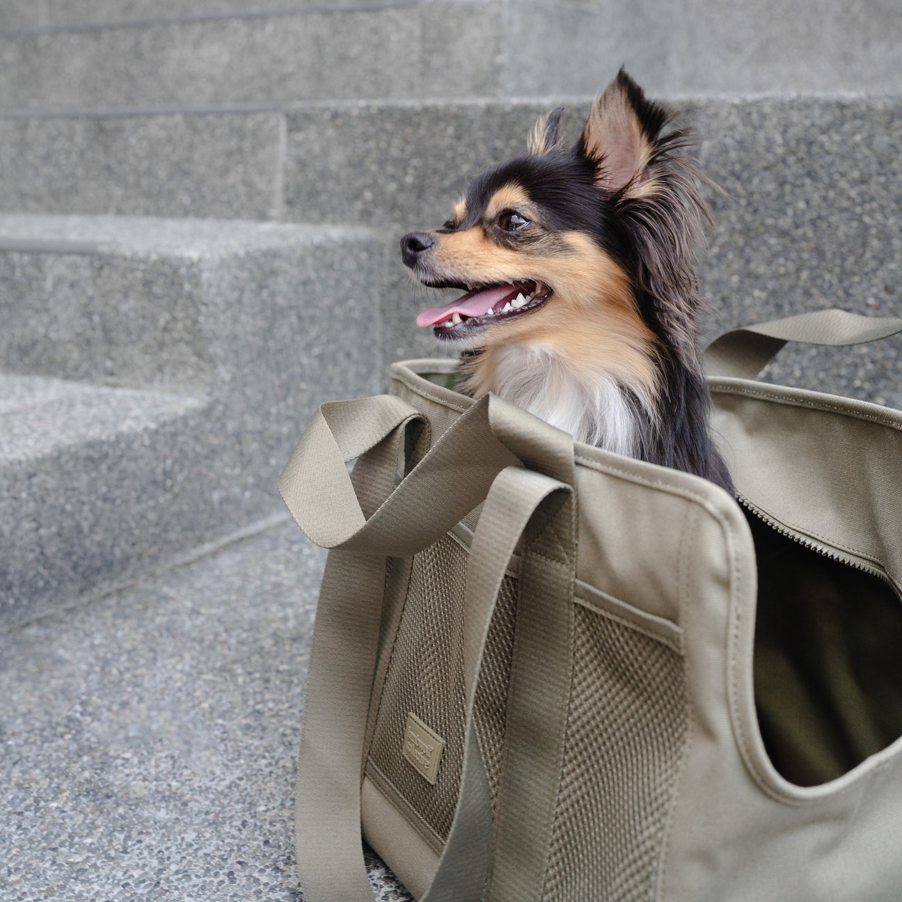 SUBWAY Petite Pet Carrycot FERN