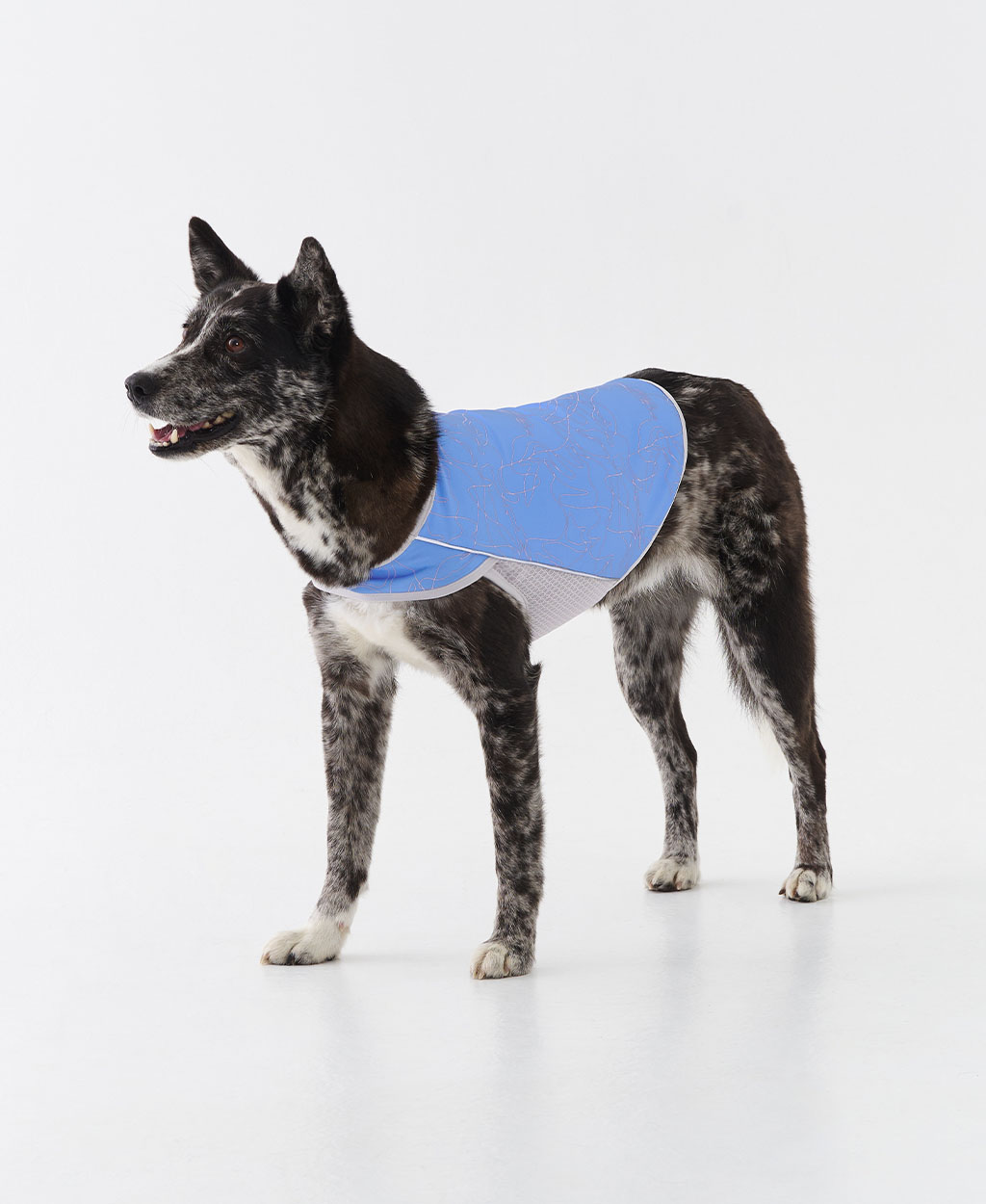 WEISS COOLING VEST BLUE