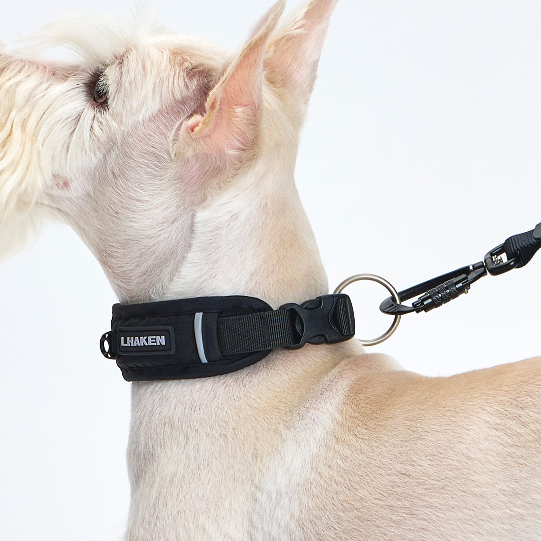 TREKTAIL Collar ブラック