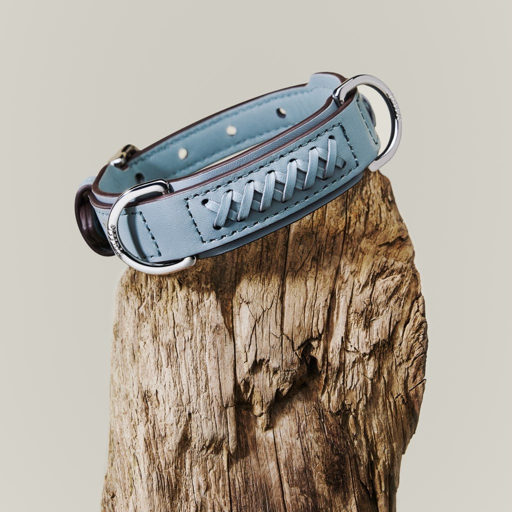 Mistico Dog Collar XLサイズ