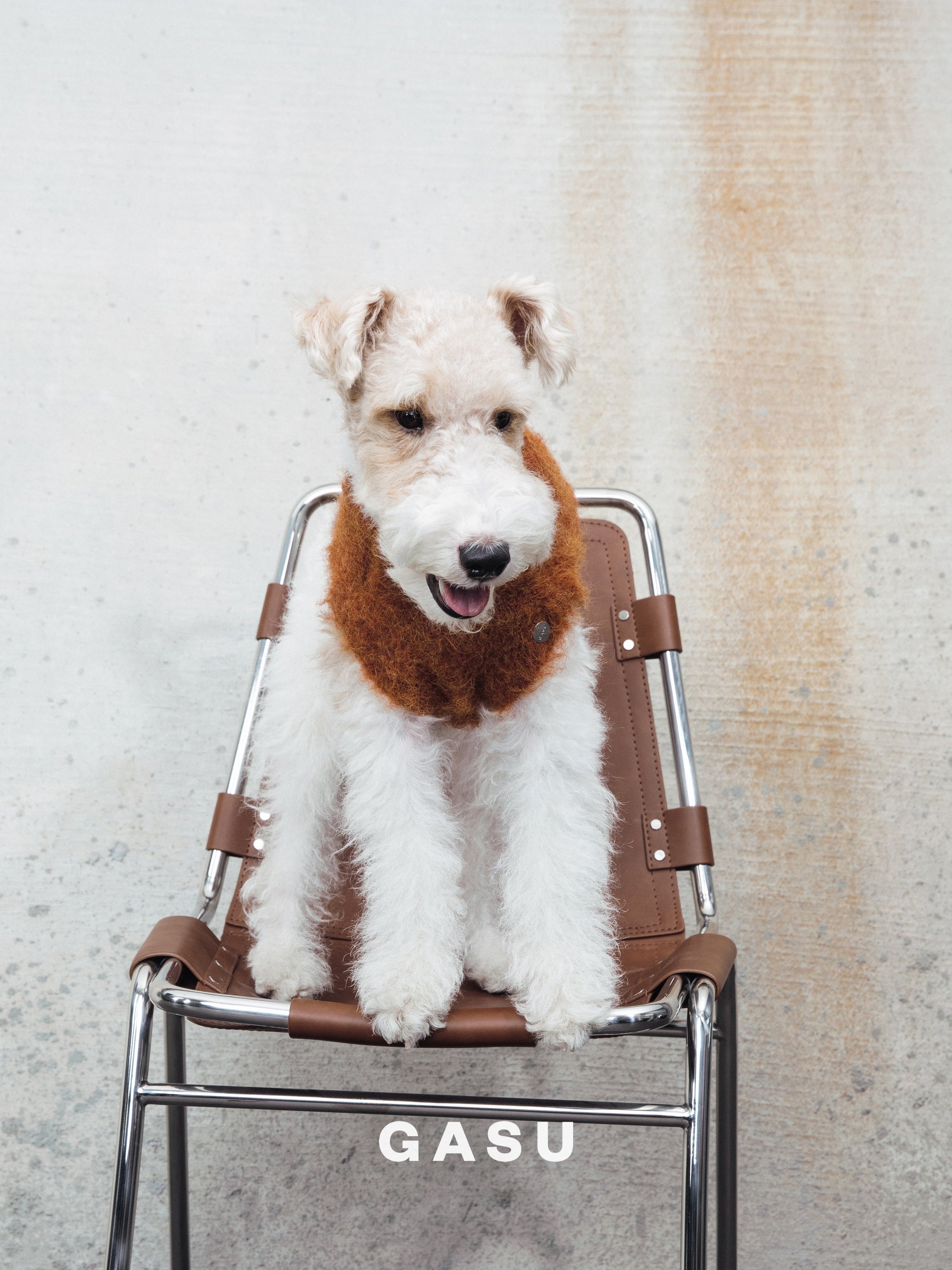 【全犬種対応】Roseau ファイン＆ウォーム アルパカニットベスト メイプル