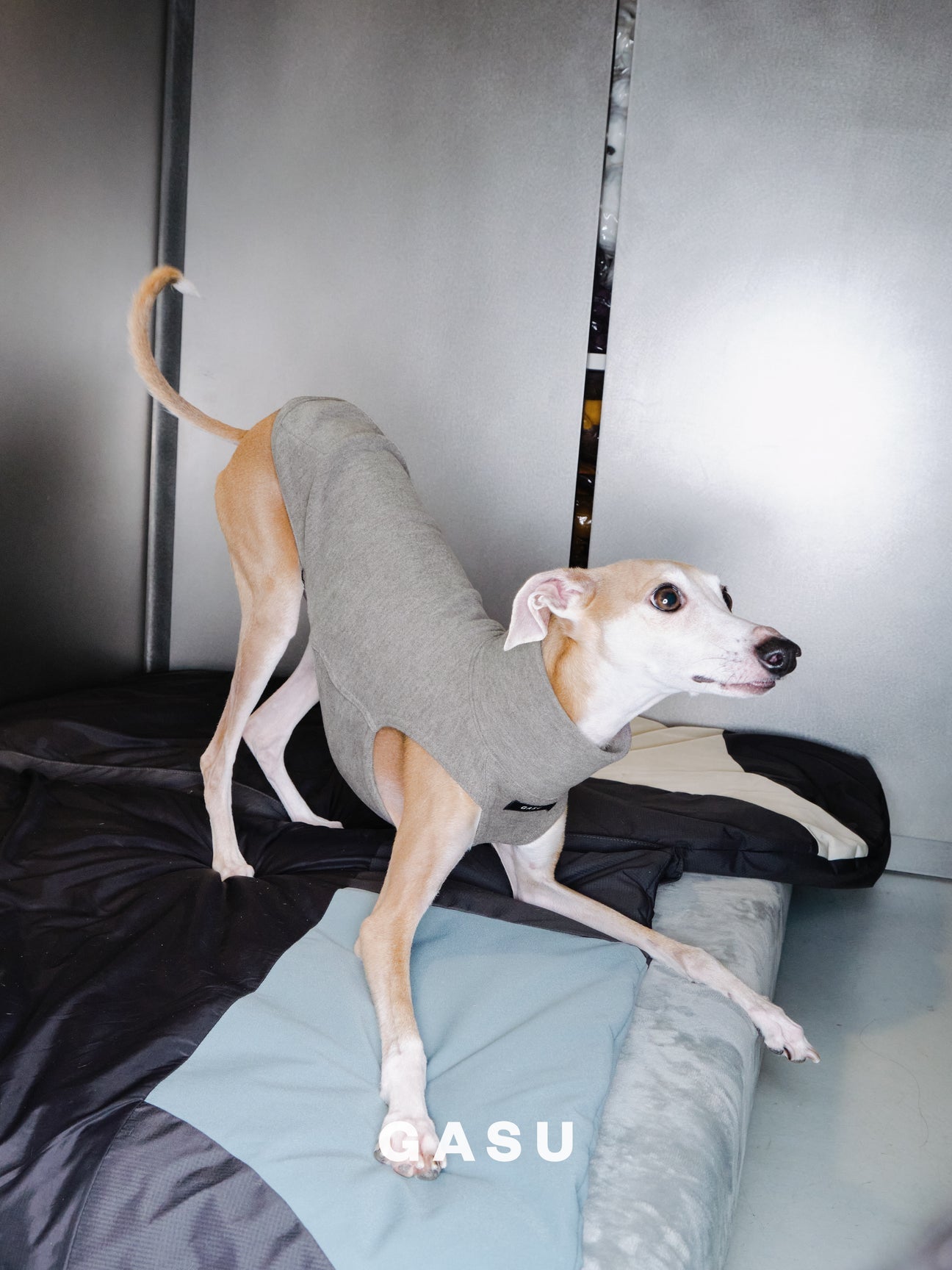 Flâner タイトフィットベスト ペブルグレー