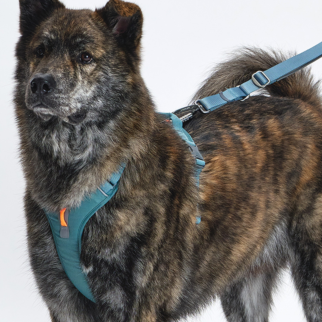 TREKTAIL HARNESS カーキ
