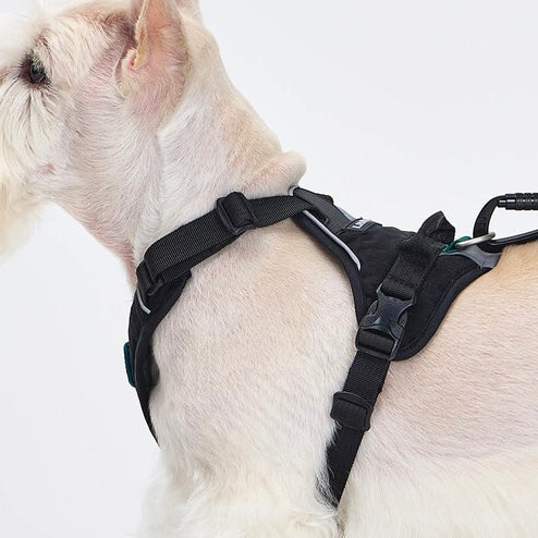 TREKTAIL Harness ブラック