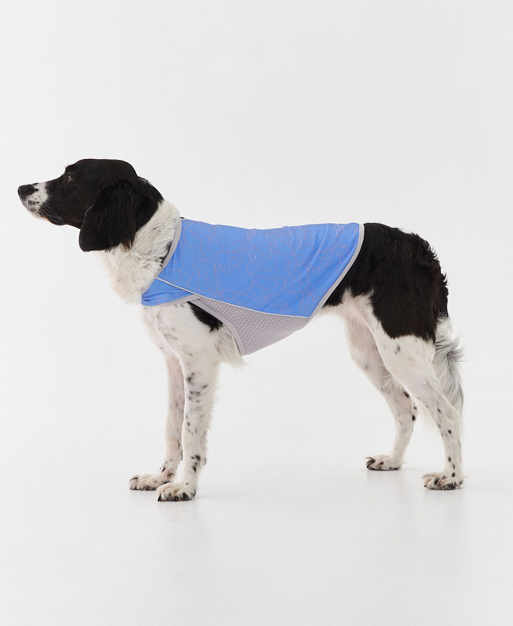 WEISS COOLING VEST BLUE
