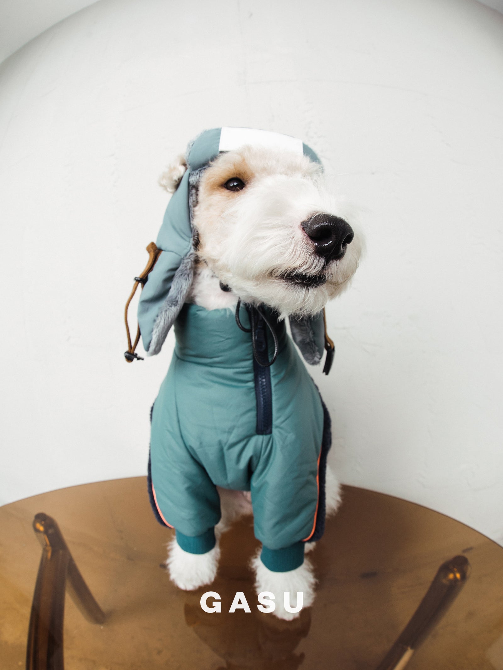 全犬種対応】Variete 3M™️シンサレート あったかフリース中綿