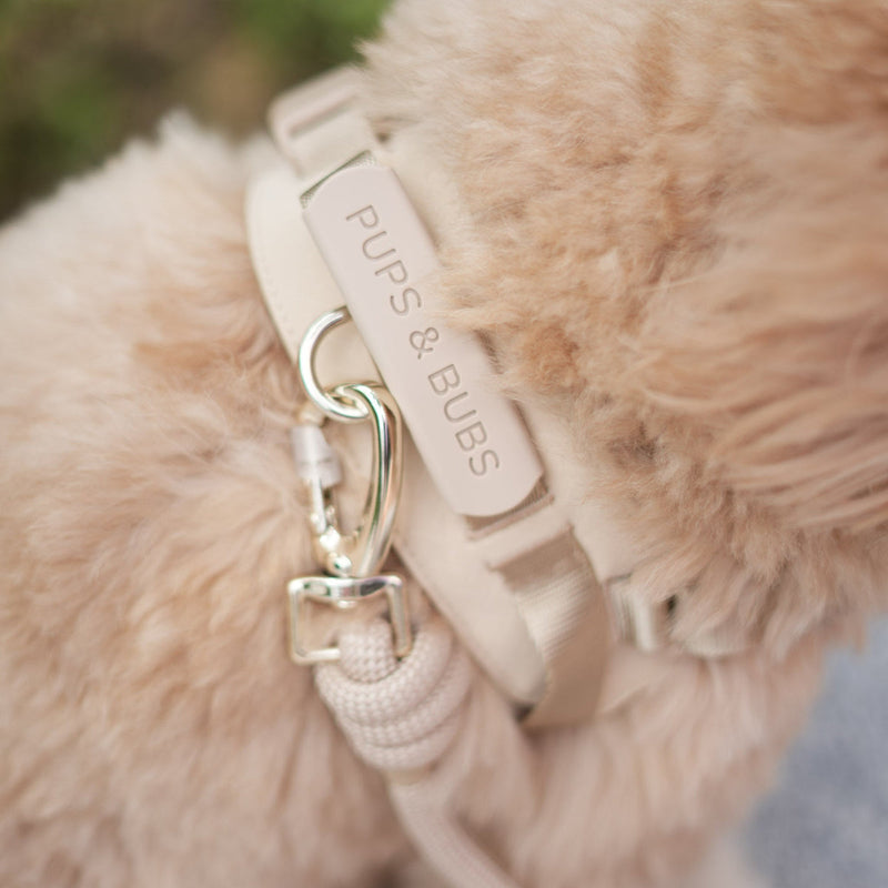 Rover Harness ベージュ