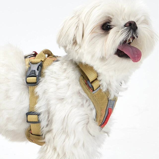 TREKTAIL Harness ベージュ