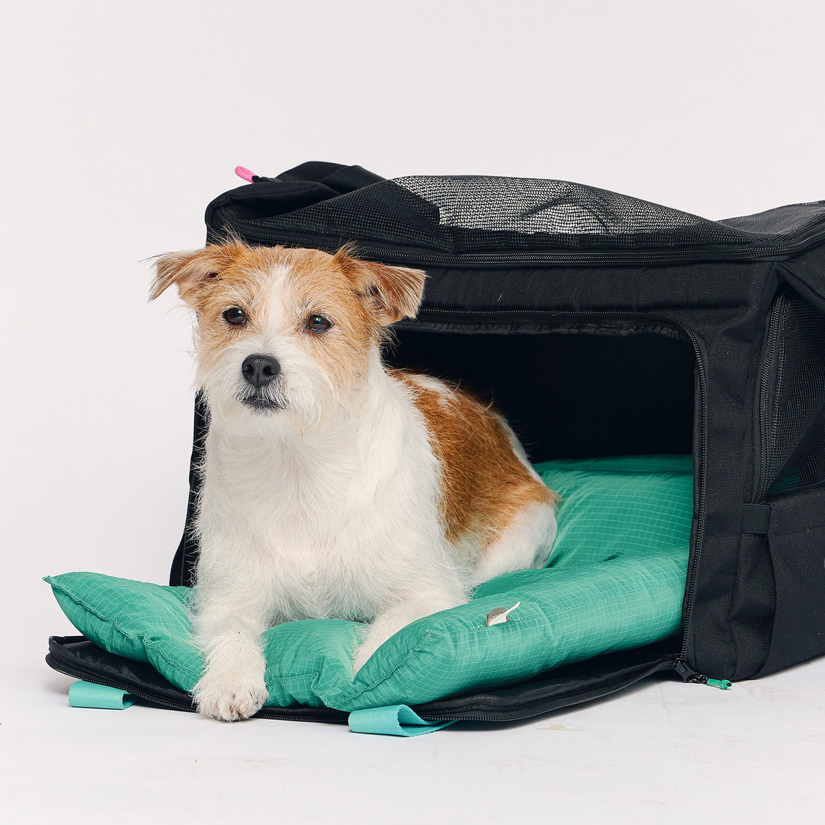 BY-WRAP BAG ブラック/グリーンクッション