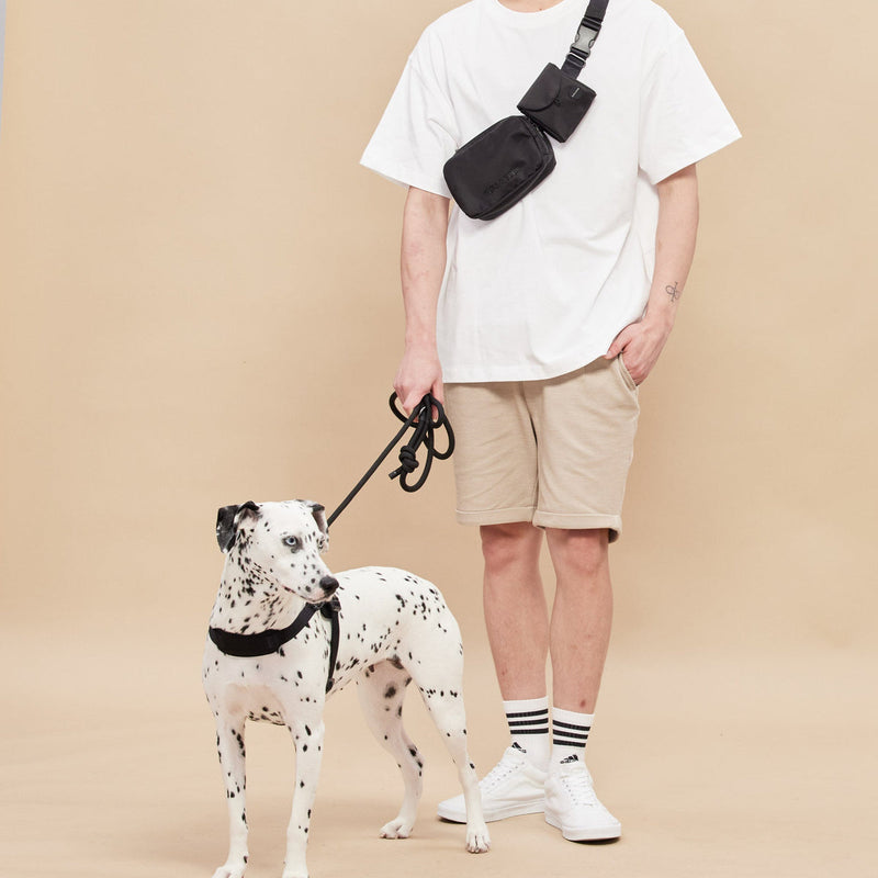 Rover Harness ブラック