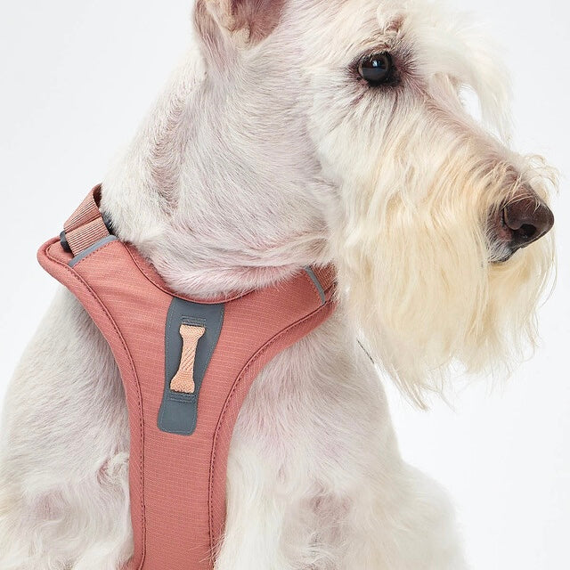 TREKTAIL Harness ピンク