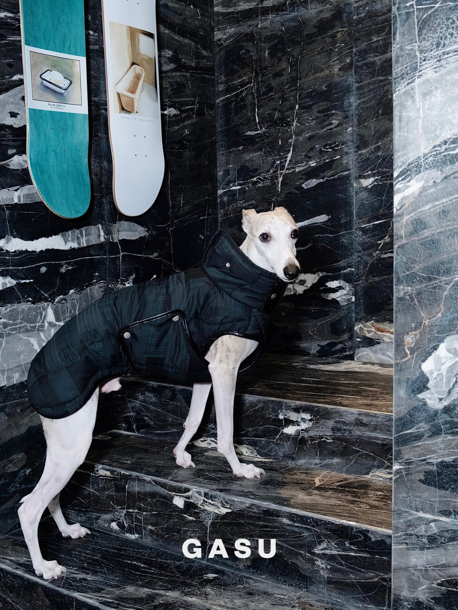 【全犬種対応】 Promener ３M™️シンサレート 静電気防止サーマルキルティングベスト