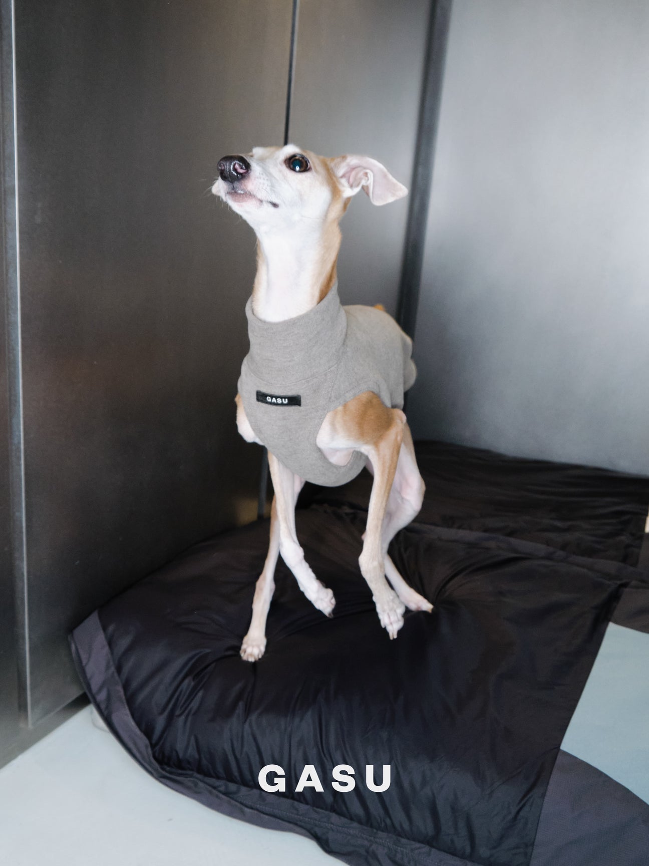 Flâner タイトフィットベスト ペブルグレー