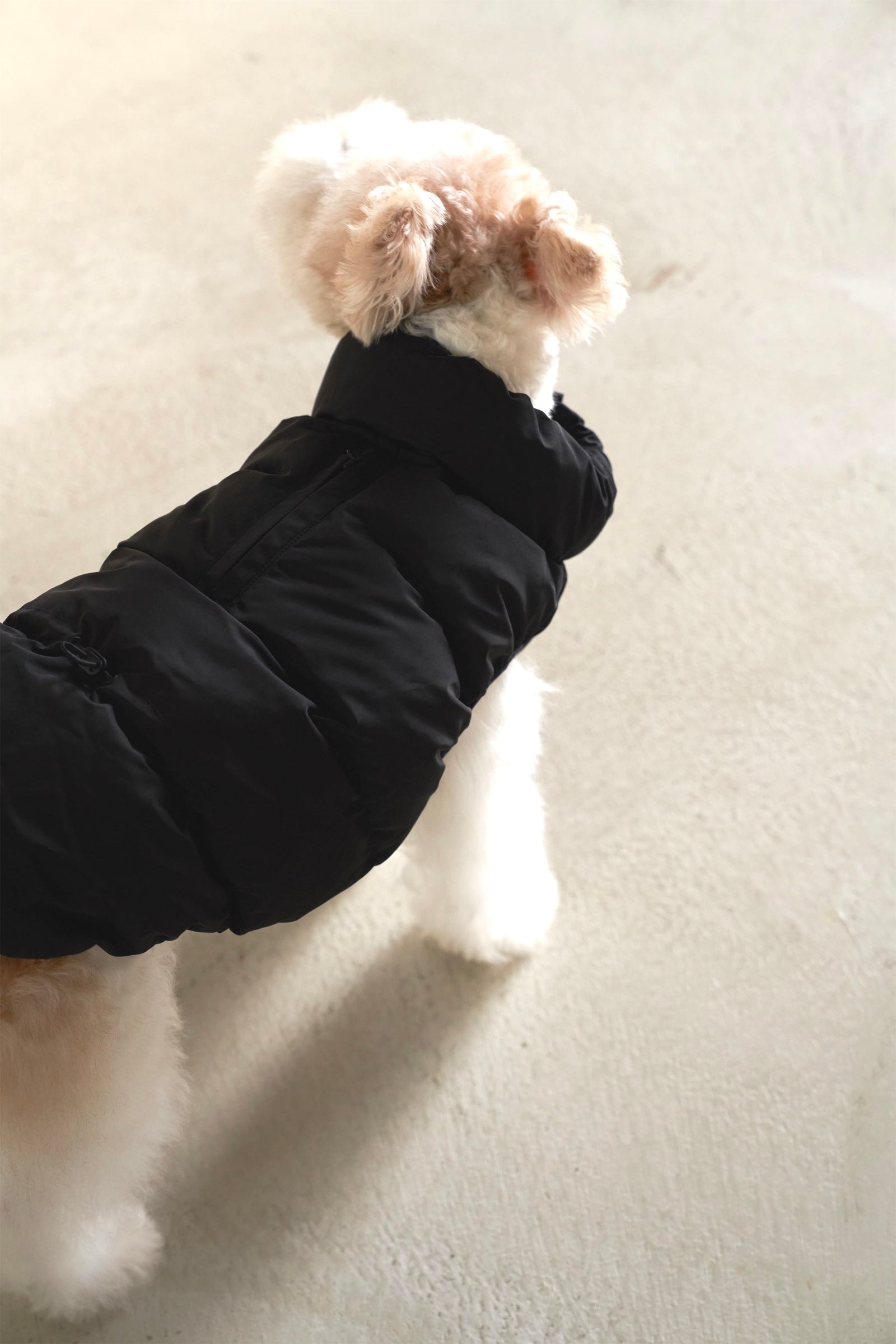 Cushy Puffer Vest ブラック – Ray Dog Kyoto