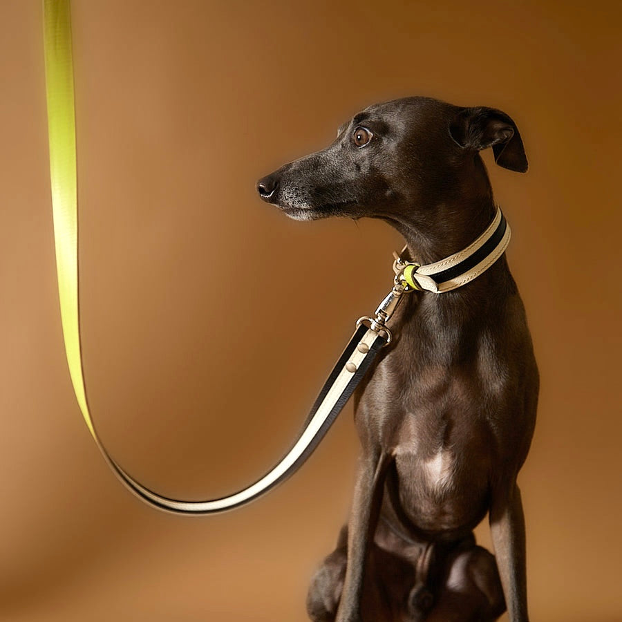 LUNE Leather Collar and Leash Set